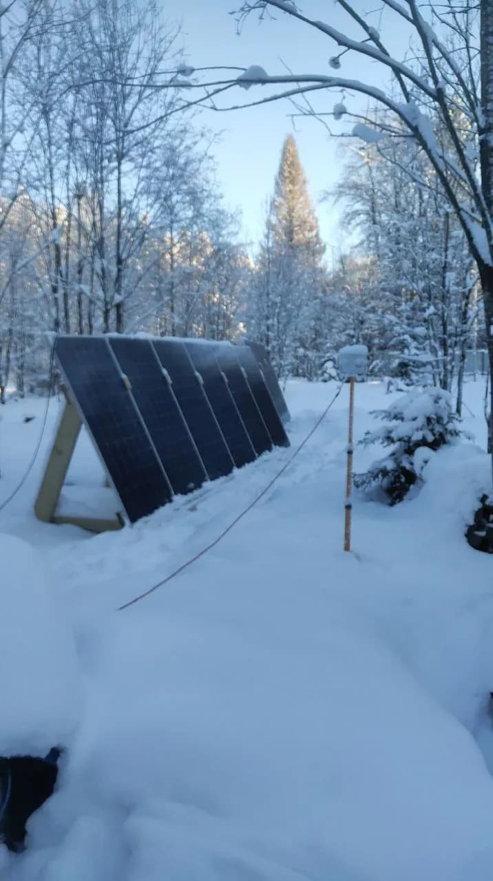 Ферма в Ленинградской области - фото 1